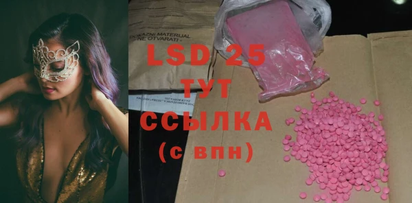 индика Богданович