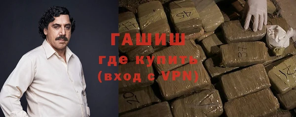 индика Богданович