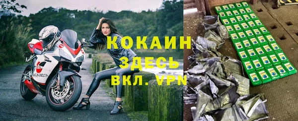 бошки Богородицк