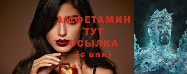 индика Богданович