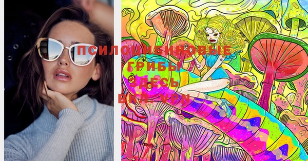 бошки Богородицк