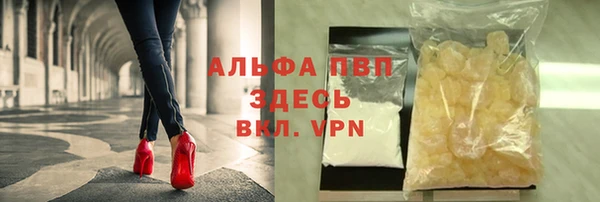 индика Богданович