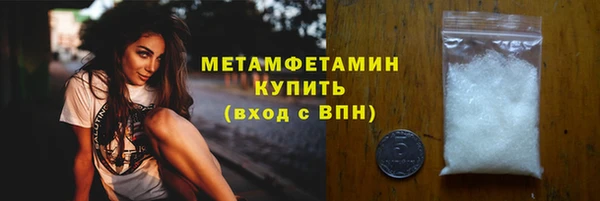индика Богданович
