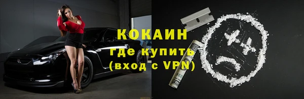 индика Богданович