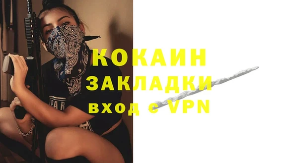 индика Богданович