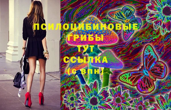 индика Богданович