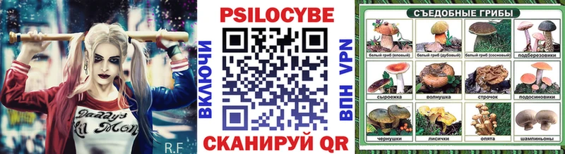 закладка  ссылка на мегу ссылки  Псилоцибиновые грибы мицелий  Донецк 